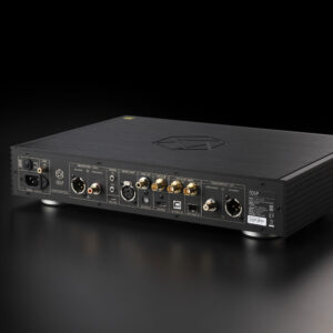 Baksiden av Hifi Rose RD 160 med tilkoblinger (innganger og utganger)