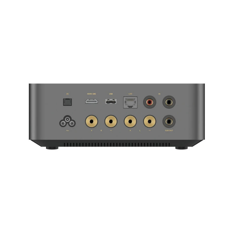 WiiM-Amp-Ultra-tilkoblinger WiiM Amp Ultra