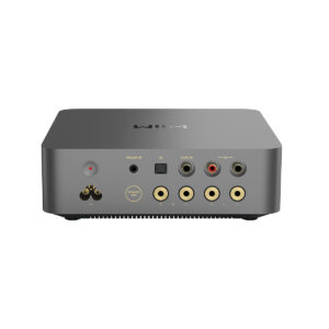 Tilkoblinger på baksiden av Wiim Amp Ultra