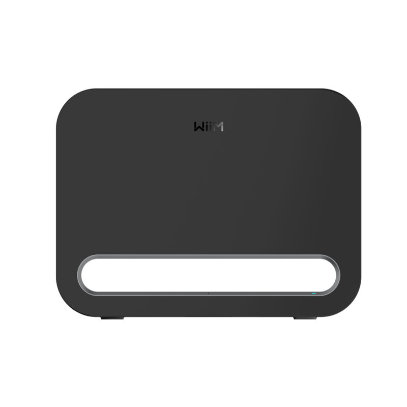 WiiM-Sub-Pro WiiM Sub Pro