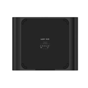 WiiM-Sub-Pro WiiM Sub Pro