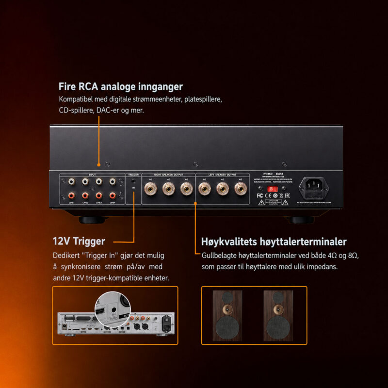 FiiO-EA13-tilkoblinger FiiO EA13